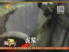猪灌泥浆爆料视频大全集,揭秘背后惊人真相  第3张
